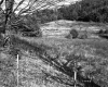 Smith Property, Fields and Forested Hills