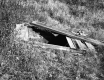 Smith Property, Spring