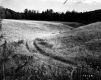 Smith Property, Rolling Farm Fields