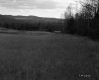 Smith Property, Rolling Farm Fields