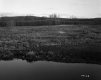 Smith Property, Pond and Field