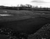 Smith Property, Open Field