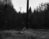 Central Vermont Public Supply Corporation Power Lines