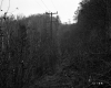 Central Vermont Public Supply Corporation Power Lines