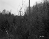 Central Vermont Public Supply Corporation Power Lines