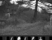Bennett Property, Poultry House