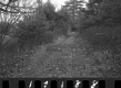 Bennett Property, Driveway toward Building
