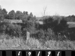 Bennett Property, Field and Trees