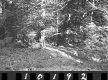 Bennett Property, Forest View