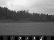 Withington Property, Fenced Farm Fields and Forested Hills
