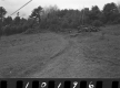 Withington Property, Field and Forest