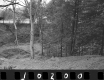Withington Property, Field and Forest