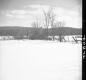 Snowy Field