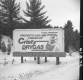 Cristy Drygas Billboard