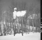 Eroded Billboard