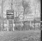 Signs by Trees