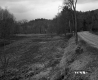 Field by Paved Road