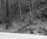 Slope with Trees and Rocks