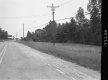 Grass by Road