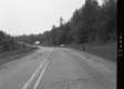 Wood Poles by Road