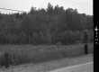 Train Tracks by Road