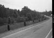 Train Tracks by Road