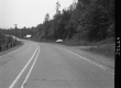 Wood Poles by Road