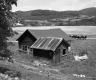 House and Cows
