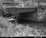 Bridge with Plants