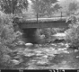 Bridge with Plants