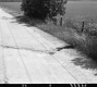Crack in Paved Road