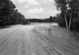Grass by Dirt Road