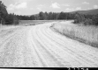 Grass by Dirt Road