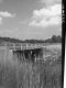 Grass by Bridge
