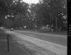 Trees and Houses by Road
