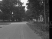 Trees Lining Road