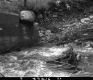 Flood Damage