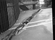 Bridge Damage