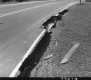Flood Damage to Road
