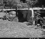 Flood Damage