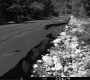 Flood Damage to Road