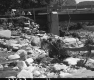 Flood Damage