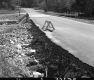 Flood Damage