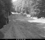 Flood Damage to Road