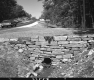 Culvert in Stone Wall