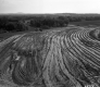 Construction Site in Burlington, Southerly End