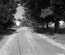 Dirt Road and Houses