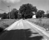 Dirt Road and Tall Grass