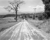 Dirt Road and Fields