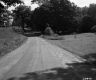 Dirt Road and Grass
